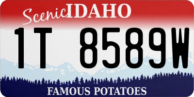 ID license plate 1T8589W