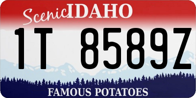 ID license plate 1T8589Z