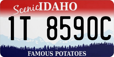 ID license plate 1T8590C