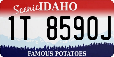 ID license plate 1T8590J