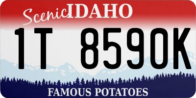 ID license plate 1T8590K