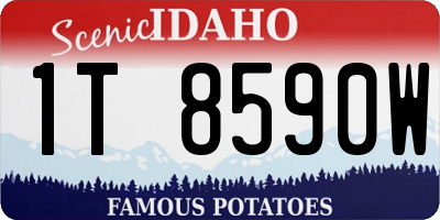ID license plate 1T8590W
