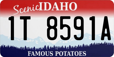 ID license plate 1T8591A