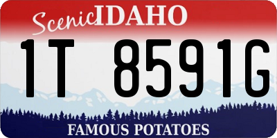ID license plate 1T8591G