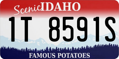 ID license plate 1T8591S
