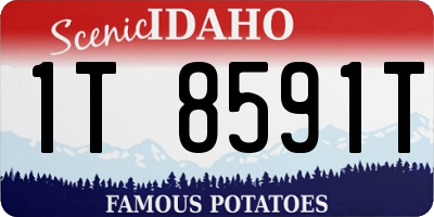 ID license plate 1T8591T