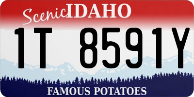 ID license plate 1T8591Y