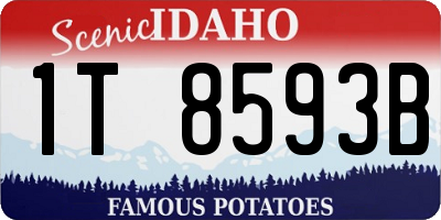 ID license plate 1T8593B