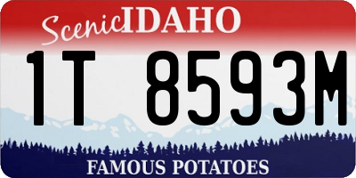ID license plate 1T8593M