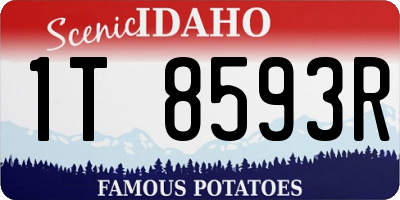 ID license plate 1T8593R