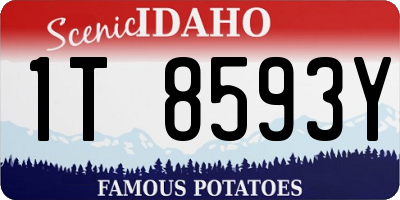 ID license plate 1T8593Y