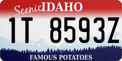 ID license plate 1T8593Z