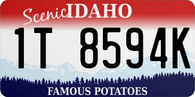 ID license plate 1T8594K