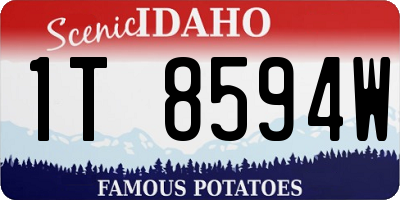 ID license plate 1T8594W