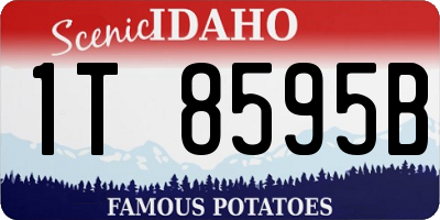 ID license plate 1T8595B