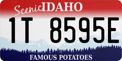 ID license plate 1T8595E