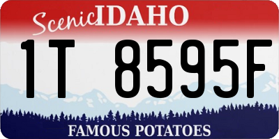 ID license plate 1T8595F
