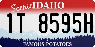 ID license plate 1T8595H