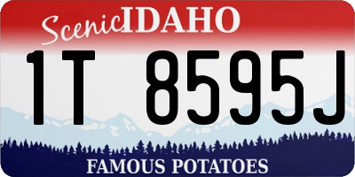 ID license plate 1T8595J