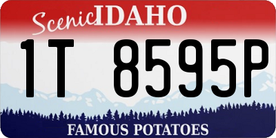 ID license plate 1T8595P
