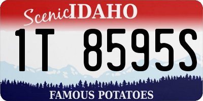 ID license plate 1T8595S