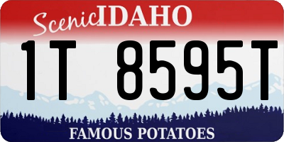 ID license plate 1T8595T