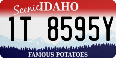 ID license plate 1T8595Y