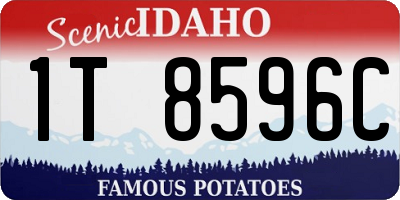 ID license plate 1T8596C