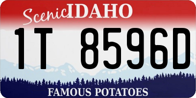 ID license plate 1T8596D
