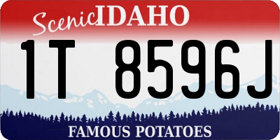 ID license plate 1T8596J