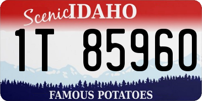 ID license plate 1T8596O