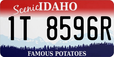ID license plate 1T8596R
