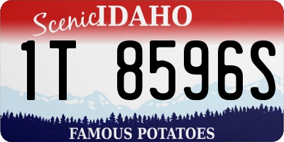 ID license plate 1T8596S