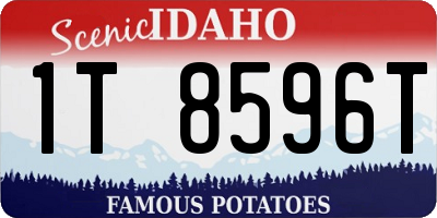ID license plate 1T8596T