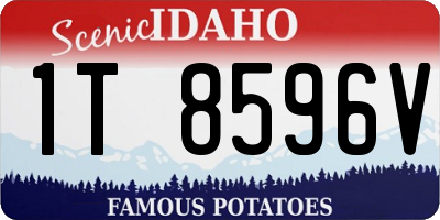 ID license plate 1T8596V
