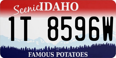 ID license plate 1T8596W
