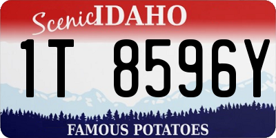 ID license plate 1T8596Y
