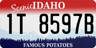 ID license plate 1T8597B