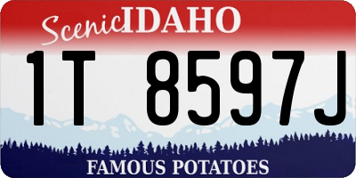 ID license plate 1T8597J