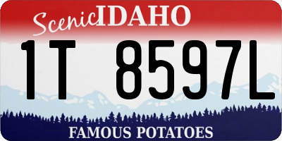 ID license plate 1T8597L