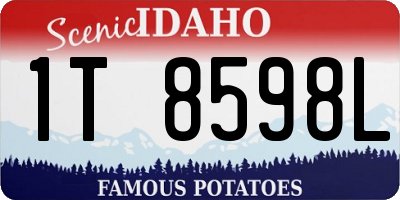 ID license plate 1T8598L