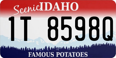 ID license plate 1T8598Q