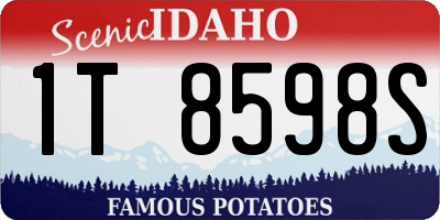 ID license plate 1T8598S