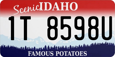 ID license plate 1T8598U
