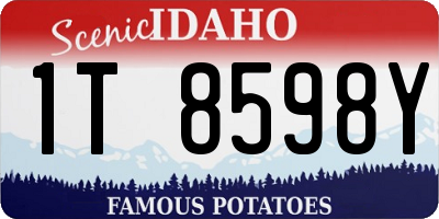 ID license plate 1T8598Y