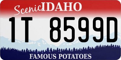 ID license plate 1T8599D