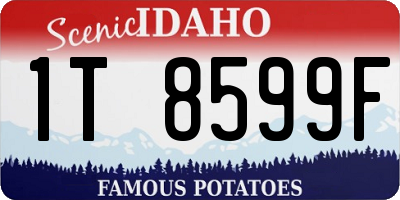 ID license plate 1T8599F