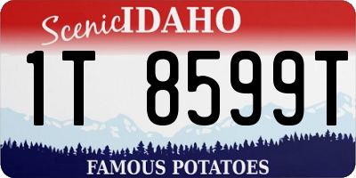 ID license plate 1T8599T