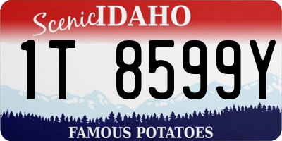 ID license plate 1T8599Y