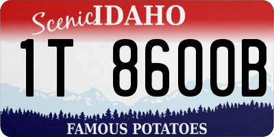 ID license plate 1T8600B